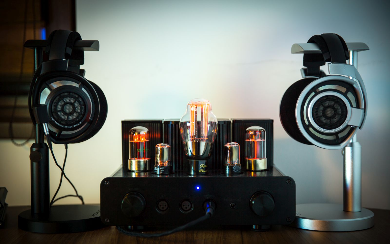 Hd800s 2025 tube amp